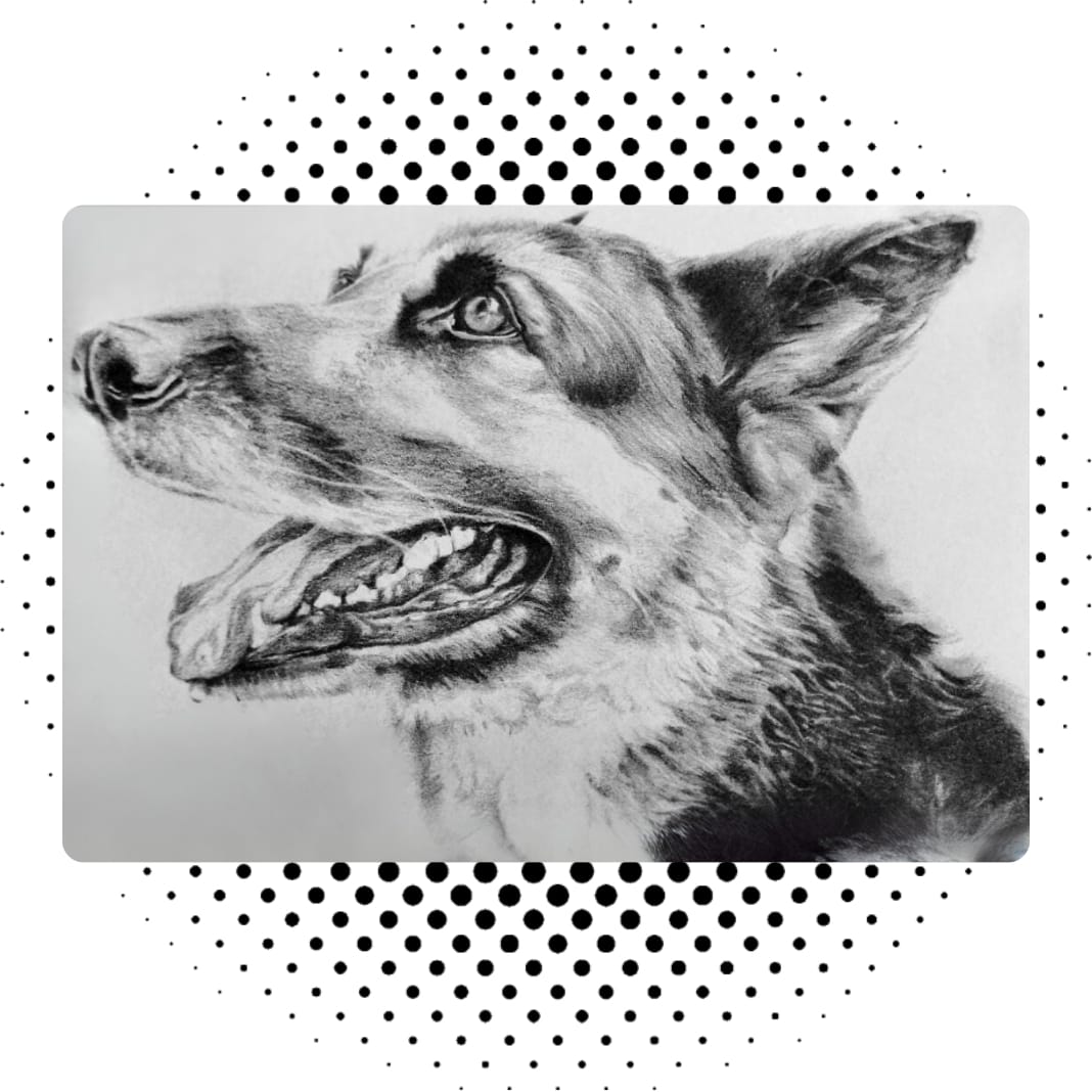 Desenho artístico criado na Graphis